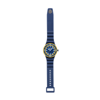 Armbanduhr Hip Hop Herr MASTER in Plastik HWU1261